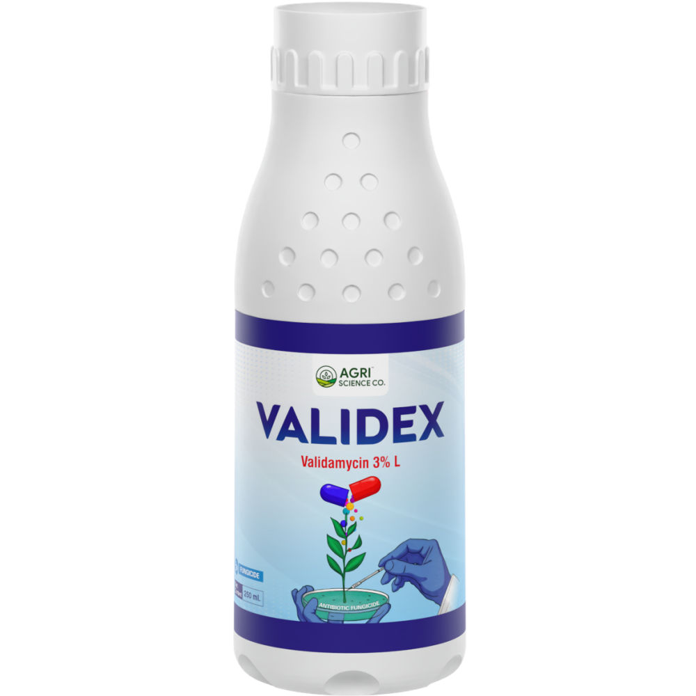 VALIDEX
