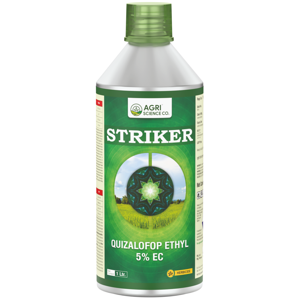 STRIKER